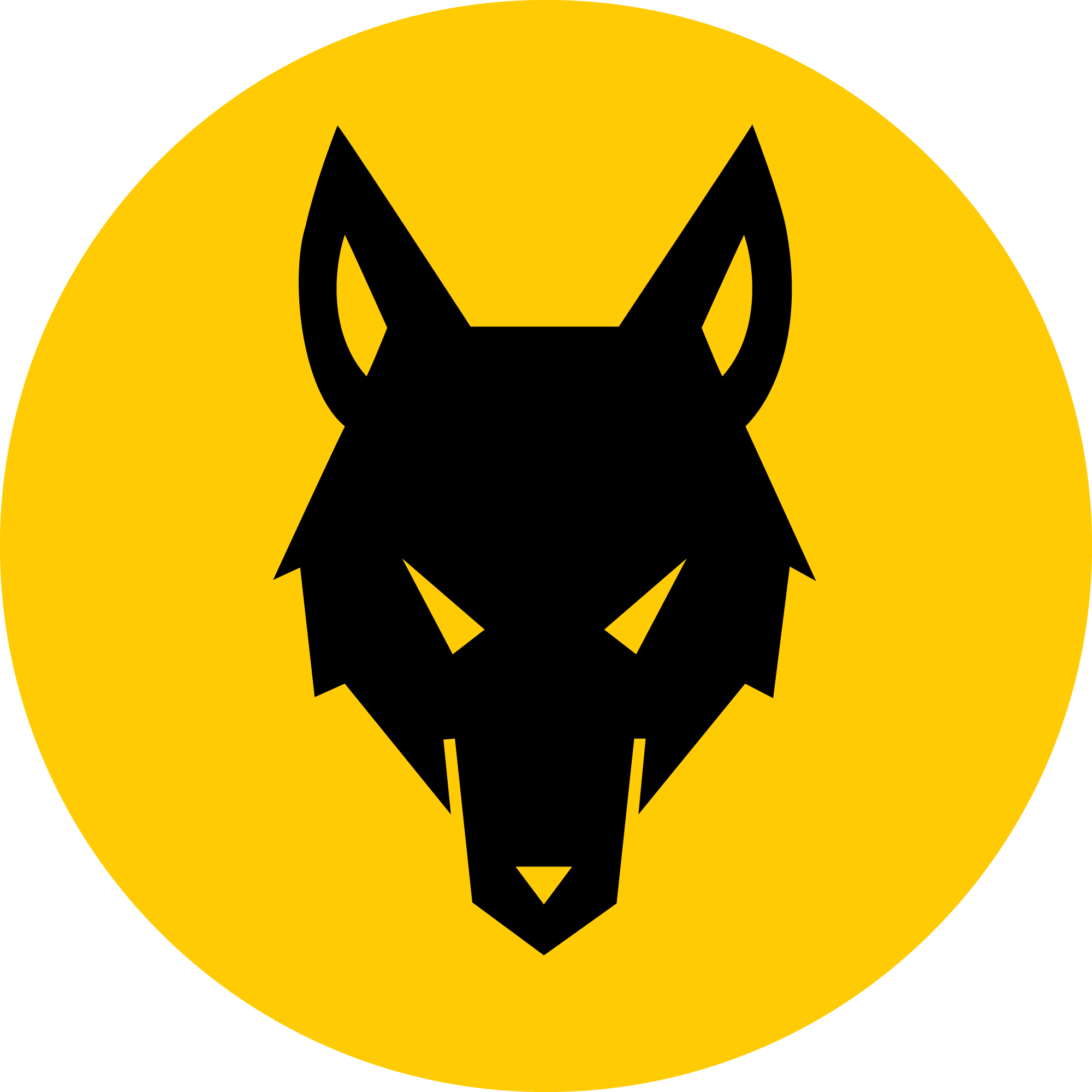 01_BdP_Stufenabzeichen_Wolfskopf.png